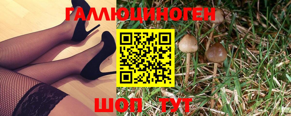 Галлюциногенные грибы GOLDEN TEACHER  Вход с VPN  Артём 
