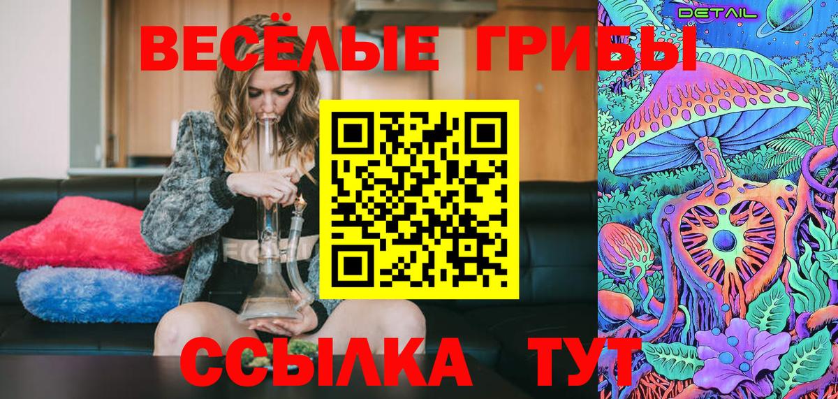 Псилоцибиновые грибы мицелий Артём